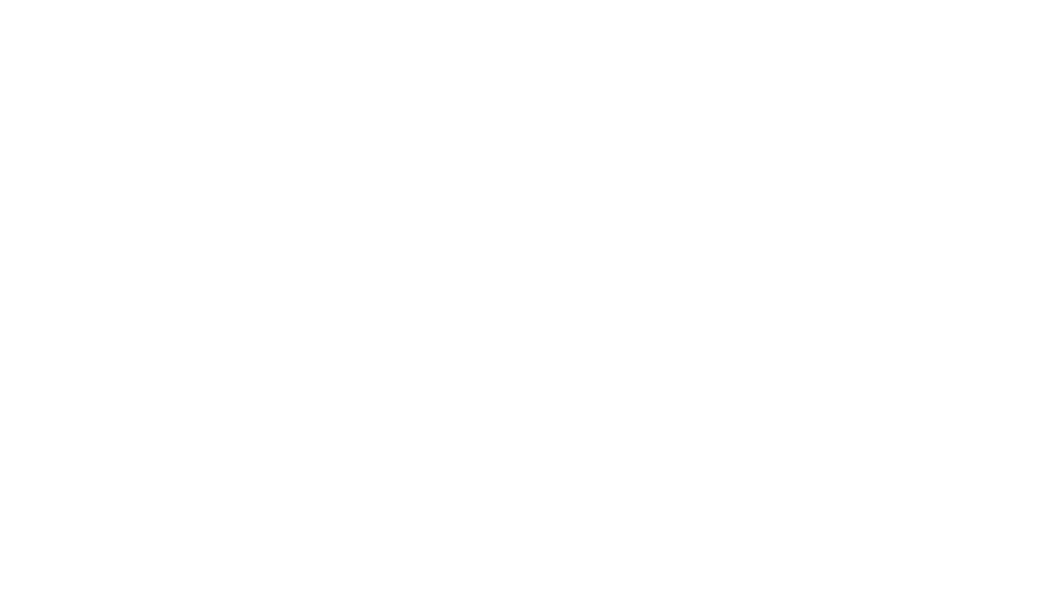 Meta